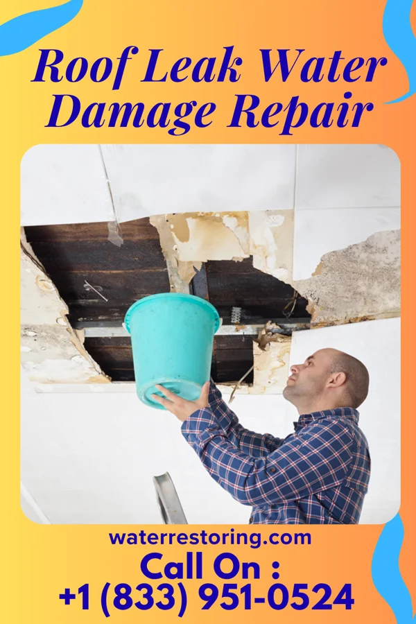 Roof Leak Water Damage Repair in Taylor, TX